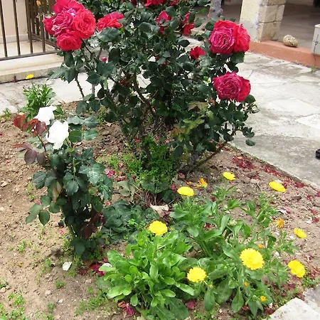 Georgia Hotel apartamentowy Pafos