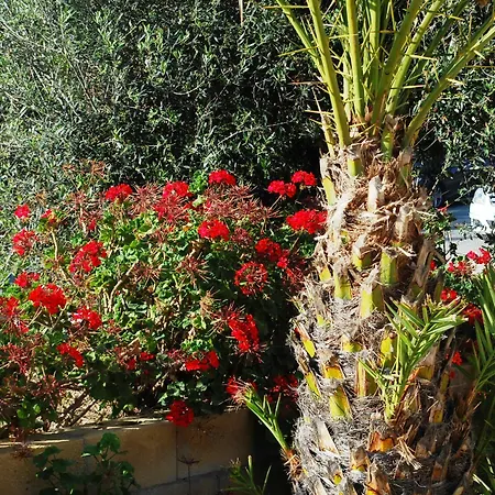 Georgia Hotel apartamentowy Pafos